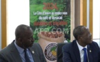 Cacao: hausse record de 50% du prix d'achat aux producteurs de Côte d'Ivoire