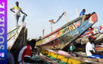 Licences de Pêche: Le  Sénégal perd 782 millions de francs CFA entre 2010 et 2016