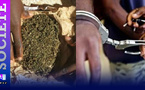 Kaolack/Ndorong : Deux individus arrêtés pour trafic de drogue à Boustane