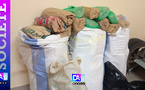 Thiès : 108 kg de chanvre indien saisis à la plage de Mballing par la Brigade régionale des Stupéfiants