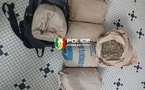 Trafic de drogue à Sédhiou  : 179 kg de chanvre indien saisis , un convoyeur arrêté