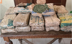 Saly : 23 kg de chanvre indien saisis après la fuite spectaculaire de deux trafiquants...