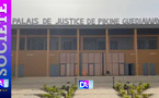 Pikine / Un palais de justice livré à la jungle : des pythons prennent possession du tribunal de Pikine
