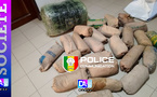 Thiaroye-sur-Mer : une cargaison de 41 kg de chanvre interceptée après un débarquement nocturne