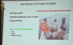 Saint-Louis : Les autorités préparent la campagne de lutte anti-aviaire 2026 dans la vallée du fleuve Sénégal