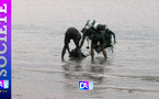 Ziguinchor : un jeune homme se noie à Goumel malgré l’interdiction de baignade
