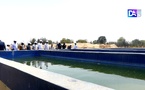 Thiès / Visite d'unités d'élevage d'alvin, d'exploitation de piment... : "Il faut se tourner véritablement vers l'aquaculture" (Younoussa Mballo)