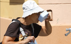 L’OMS organise une réunion de crise pour tirer des leçons de la canicule en Europe