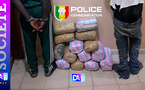 Kaolack : Démantèlement d'un réseau de trafic de drogue par la BRS et saisie de 15 kg de chanvre indien