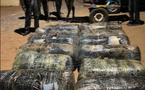Lutte contre le trafic de drogue : 360 Kg de chanvre indien saisis à Joal