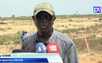 Banditisme foncier : la SN-HLM sécurise 20 hectares de son patrimoine à Bambilor