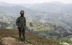 Est de la RDC: l’ONU impose de nouvelles sanctions contre plusieurs groupes armés dont l'AFC/M23