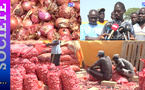 « Nos oignons pourrissent pendant que nos dettes s'accumulent » : les producteurs de Ngomène interpellent le président Diomaye Faye