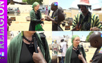 Grand Magal de Touba 2026 : des visiteurs étrangers sous le charme du Grand Magal de l'événement