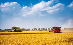 Plan quinquennal 2026-2030 pour l'agriculture : la sécurité alimentaire, un acquis à consolider
