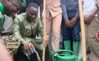 Sandiara/ Journée de l’arbre : Serigne Guèye Diop décline les ambitions de l’État et appelle Aliou Gningue à rejoindre Kiiraay