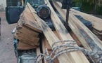 ‎Lutte contre le trafic illicite de bois à Vélingara : Le service des eaux et forêts saisit  7 machines de sciage,15 billons de bois de kapokier...