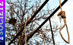 Thiès: un homme retrouvé pendu dans son verger