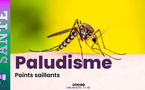 Paludisme : les décès reculent au Sénégal, mais le financement de l’élimination reste à trouver