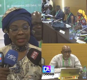 Rencontre annuelle des chefs de représentation: La CEDEAO réunit ses bureaux nationaux