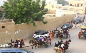Transport à Touba : La bonne affaire pour charretiers et clando