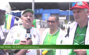Sénégal contre Tunisie : Des Algériens supporteurs des Lions de la Téranga