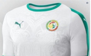 Équipementier des Lions : Ce qu'il faut savoir sur Puma, une marque peu en vue au Mondial