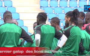 VIDÉO : Revivez le dernier galop des Lions au Havre
