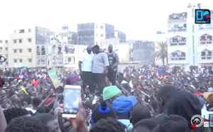 LAMB EN LIGNE : Suivez l'intégralité de l'Open-press de Gris Bordeaux