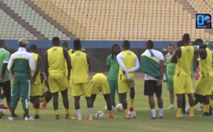 Les Lions au repos vendredi, deux séances d'entraînement par jour à partir de ce samedi