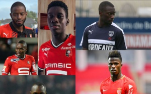 Club, âge, taille... : La revue d'effectif en équipe nationale, portraits-robots des 23 Lions