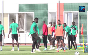 Projet de jeu des Lions : La mayonnaise prend, les joueurs commencent à assimiler les exigences