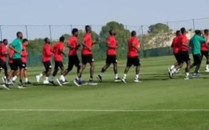 Alicante (Espagne) : Deux galops d’entraînement intenses pour les Lions ce dimanche, des séances vidéo en perspective