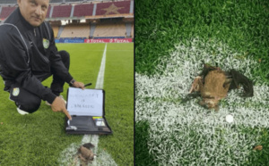 CHAN 2021 : Le Zimbabwe accuse le Cameroun de sorcellerie, une chauve-souris retrouvée sur la pelouse…