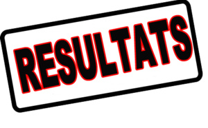 GUÉDIAWAYE : Aliou Sall gagne dans son bureau de vote