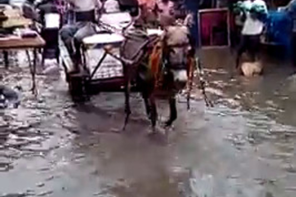 TOUBA, LE MARCHÉ OCASS SOUS LES EAUX - La mairie dépassée par les évènements