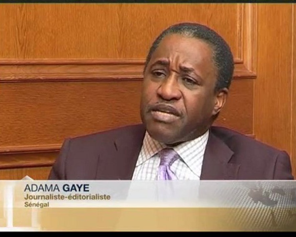 Grand, «chien» vous disiez ? (Par Cheikh Mbacké Guissé)