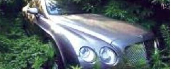 GAMBIE : La cache du parc automobile de Jammeh découverte