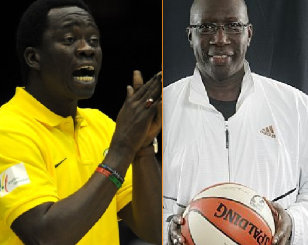 Basket-ball : "Adidas’’ et Cheikh sarr nommés sélectionneurs des équipes nationales
