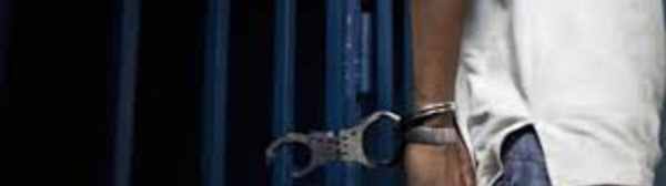 Grosse prise du commissariat de Dieuppeul : Libéré de prison il y a juste cinq mois, S. Ba tombe avec 9,5 Kg de chanvre indien