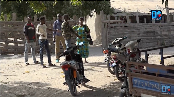 (Reportage) Ziguinchor : Le business du bois n'aime pas le bruit