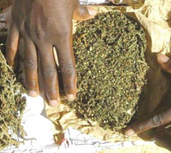 Trafic de drogue : 2 étudiants de l’Ucad aux arrêts à la chambre 416A