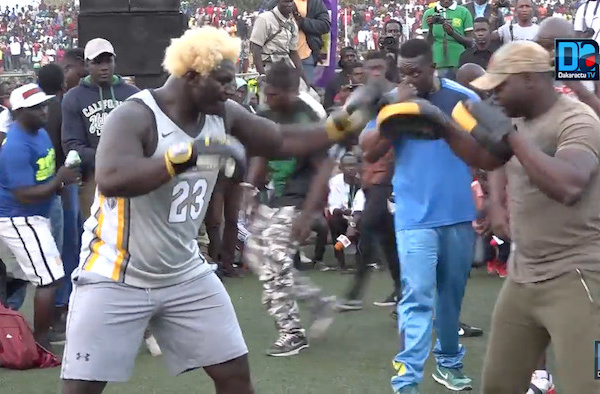 LAMB EN LIGNE : Suivez l'intégralité de l'Open-press de Balla Gaye II au stade Amadou Barry de Guédiawaye 