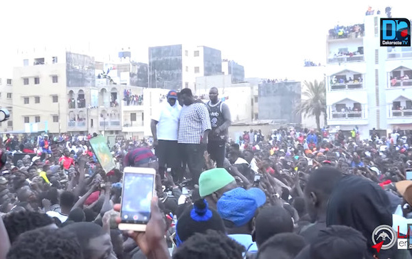 LAMB EN LIGNE : Suivez l'intégralité de l'Open-press de Gris Bordeaux