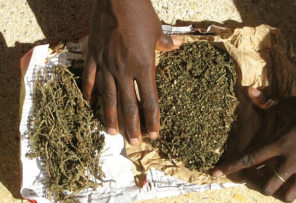 Lycée de Médina Sabakh : Un prof d’histoire et de géographie arrêté pour détention de... yamba