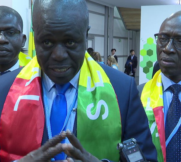 COP 24- Mame Thierno Dieng : « Le Sénégal n’est et ne sera jamais un état climato-sceptique…»