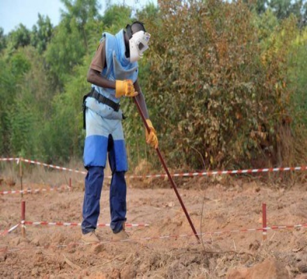 Casamance : les mines ont tué 797 personnes depuis 1988