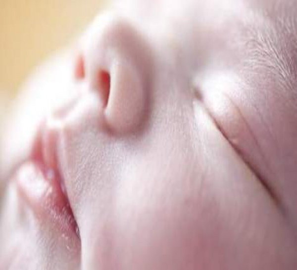 Papa, maman et bébé sont nés le même jour