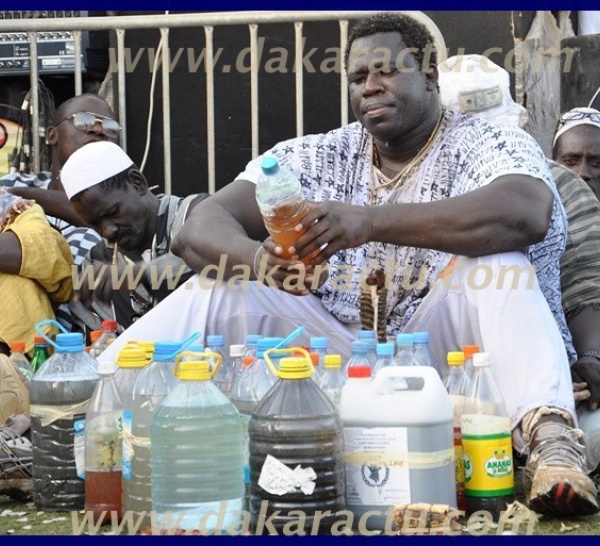 Combien dépense Yékini dans le mystique ? 