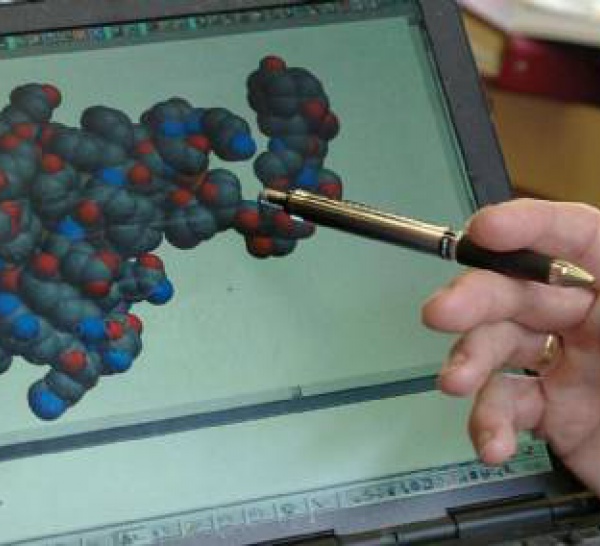 Des joueurs en ligne résolvent l'une des énigmes du virus du sida